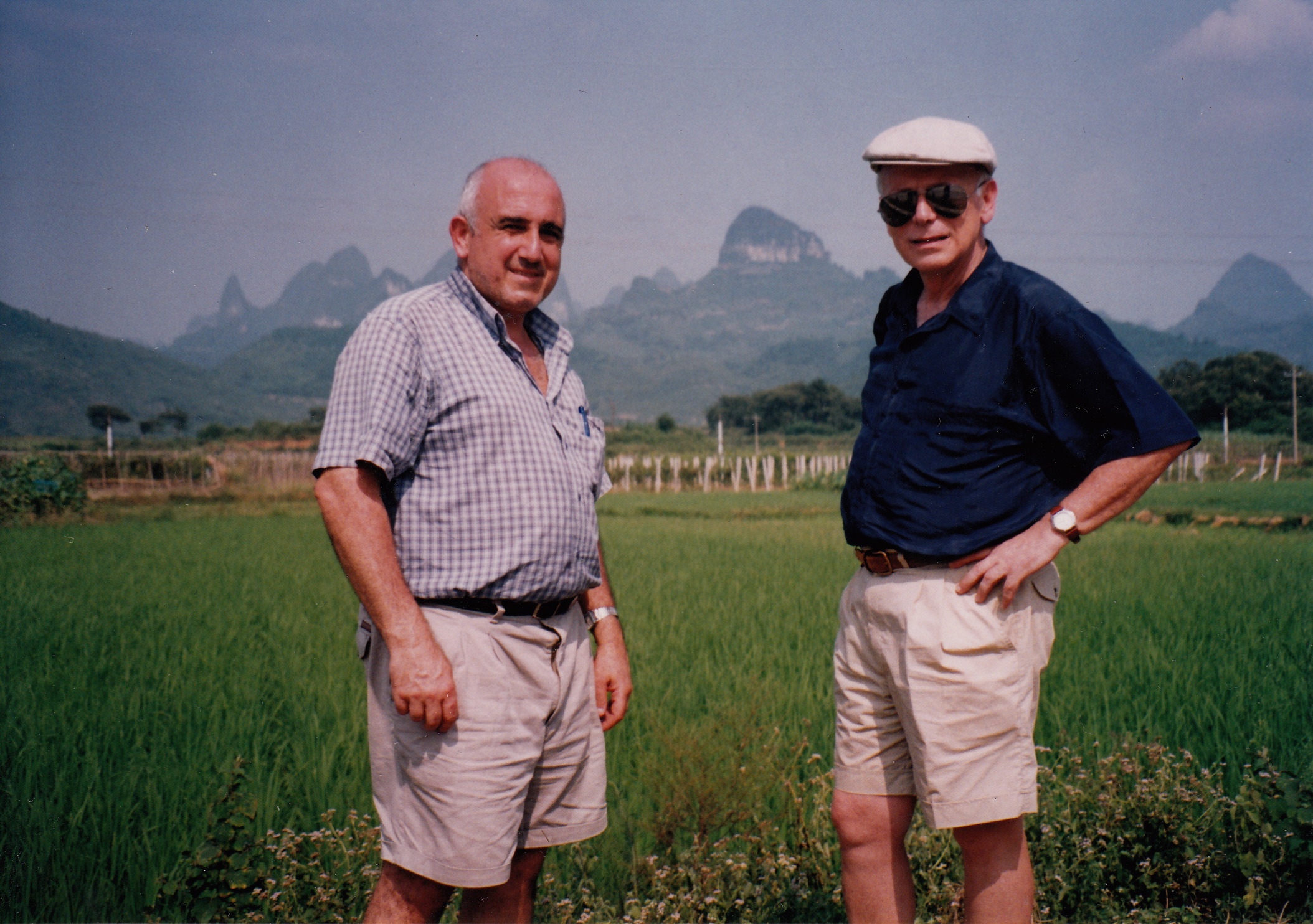 Campos de arroz