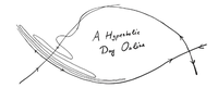 "A hyperbolic day online" - Encuentro virtual